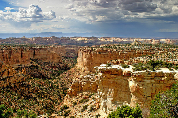 Arizona